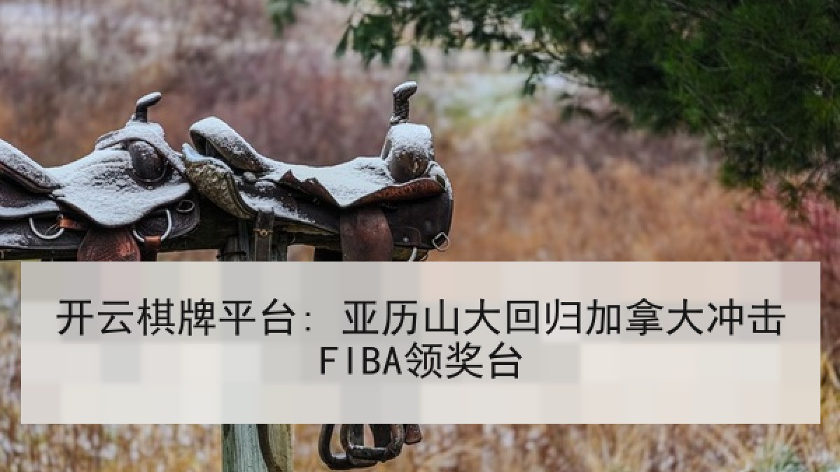 开云棋牌平台: 亚历山大回归加拿大冲击FIBA领奖台 开云棋牌平台: 亚历山大回归加拿大冲击FIBA领奖台