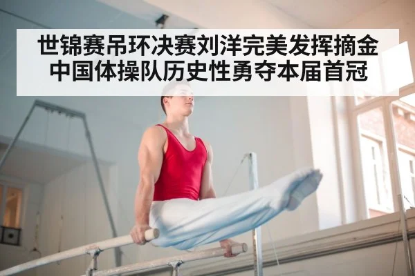 世锦赛吊环决赛刘洋完美发挥摘金 中国体操队历史性勇夺本届首冠