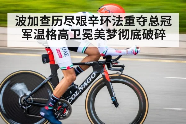 波加查历尽艰辛环法重夺总冠军温格高卫冕美梦彻底破碎